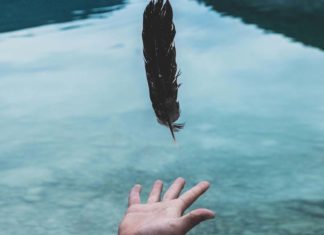 ما معنى مثال على رأسك ريشة؟ 9 نصائح لتصبح على رأسك ريشة على راسك ريشة