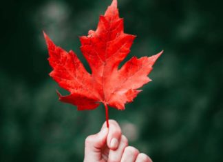 قبل نهاية العالم بقليل نهاية العالم