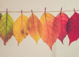 ربما حلاوة القهوة في مرارتها التغيير