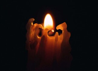 قطعة السكر التي تكره الذوبان الأم