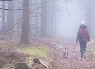 نهاية واحدة طويلة نهاية