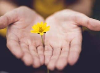 لا تلقي المعروف في سلة القمامة المعروف