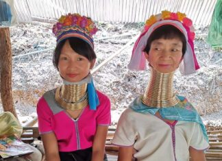 مقاييس الجمال عبر العصور والثقافات المختلفة مقاييس الجمال