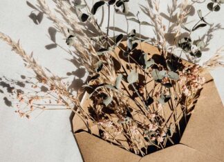 رسائل إلى نعيم: وما الحب إلا لك رسائل