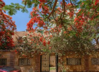 رحلتي مع المعادي المعادي