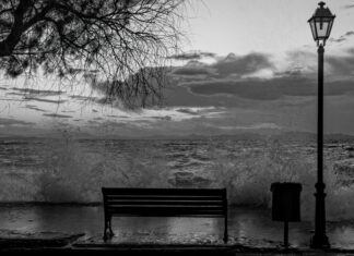 معركة هادئة وسط طوفان غائم