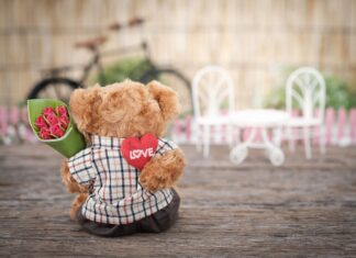 اشتراك سنوي