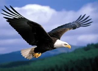 عاداتك .. حياتك عاداتك .. حياتك