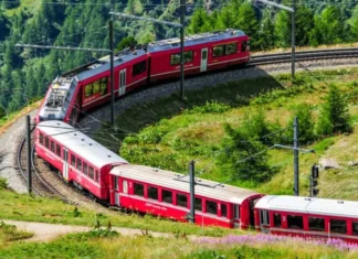 في دايرة الرحلة في دايرة الرحلة