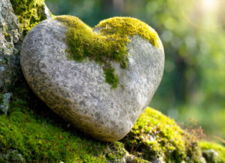 إيدك تكون أخشن .. قلبك أرقّ إيدك تكون أخشن .. قلبك أرقّ